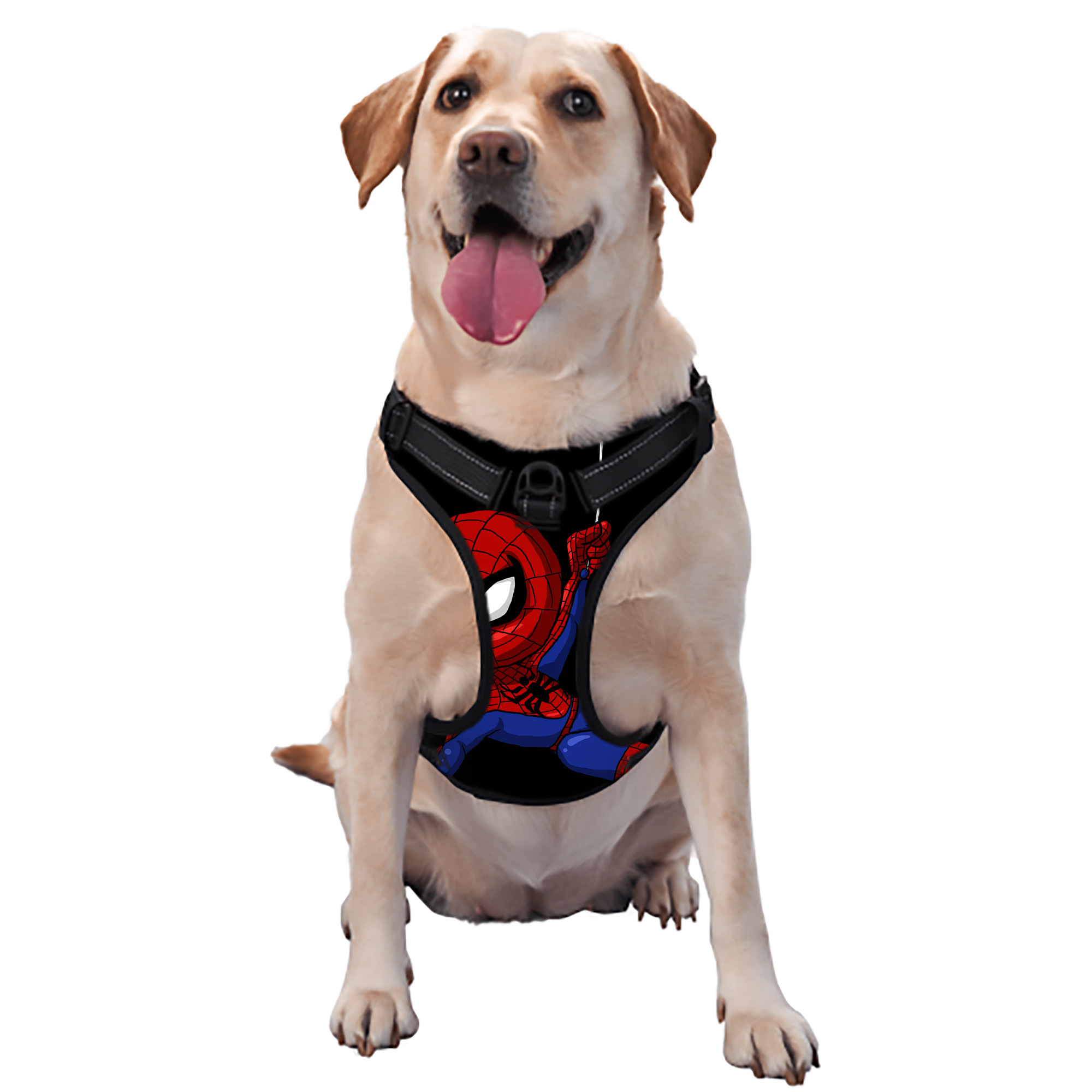 （画像用） Spider Man スパイダーマン ペット用ハーネス